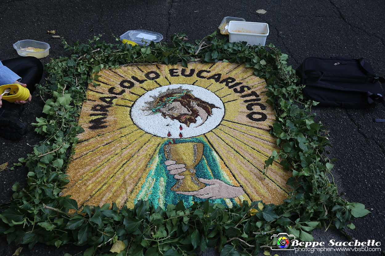 VBS_9516 - Infiorata di Villanova d'Asti 2023.jpg